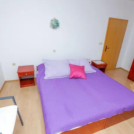 Dalma Zadar